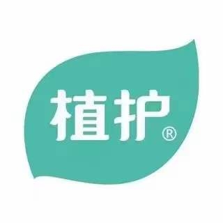 維亞造紙機械與來(lái)賓廣西植護云商7、8號機正式簽約